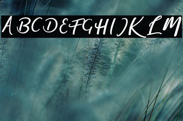 magic-Regular Example 3