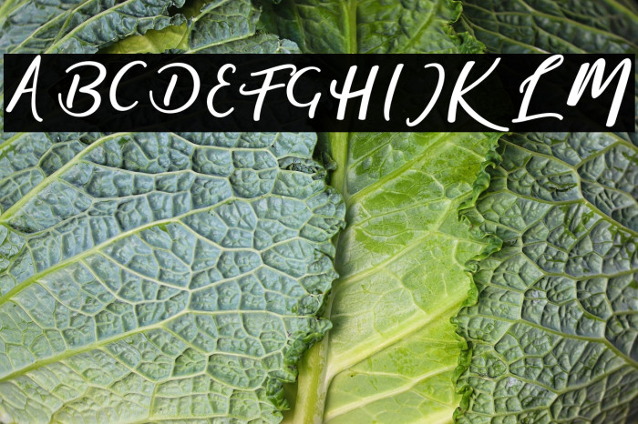 magic-Regular Example 3