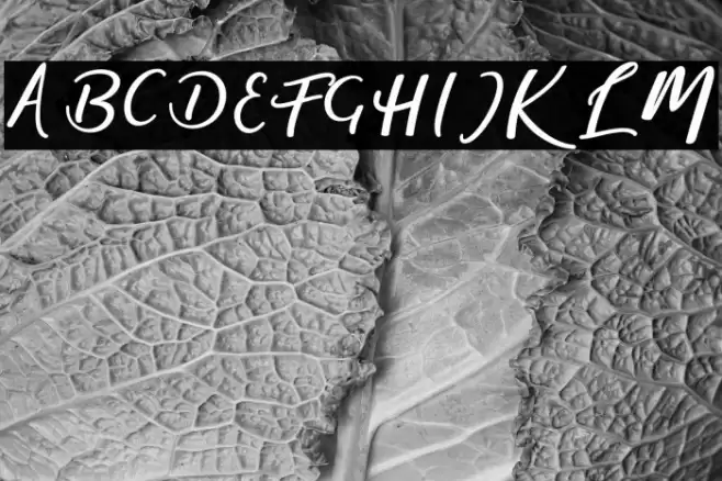 magic-Regular Font examples