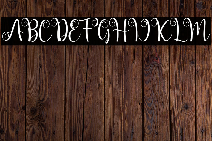 magicalscript-Regular Example 2