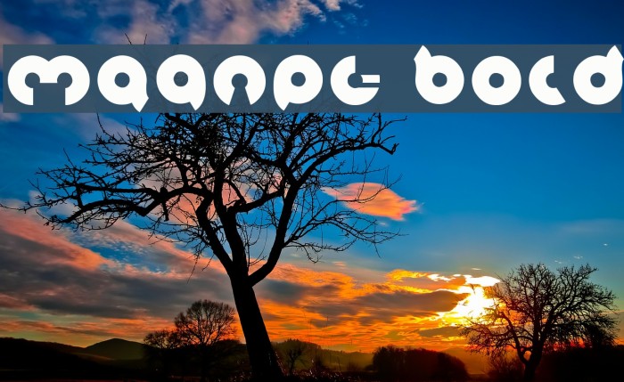 magnet Bold Example 3