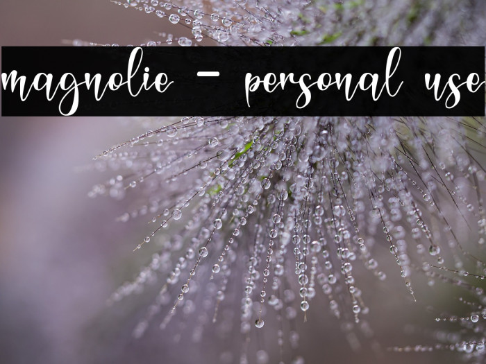 magnolie - personal use Example 3