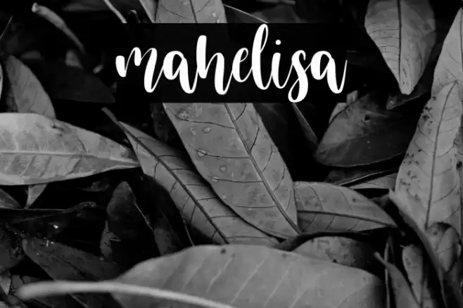 mahelisa Font examples