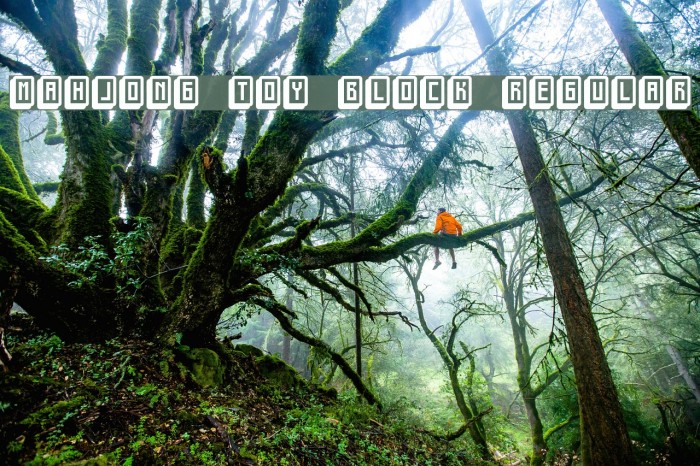 mahjong toy block Regular Example 1