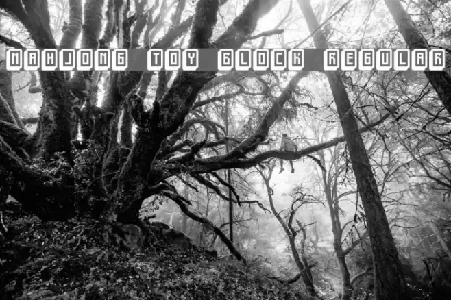 mahjong toy block Regular Font examples