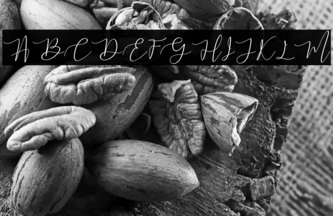 mahligai Font examples