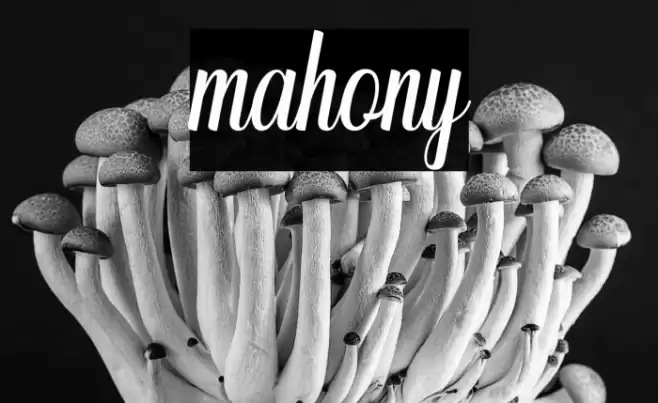 mahony Font examples