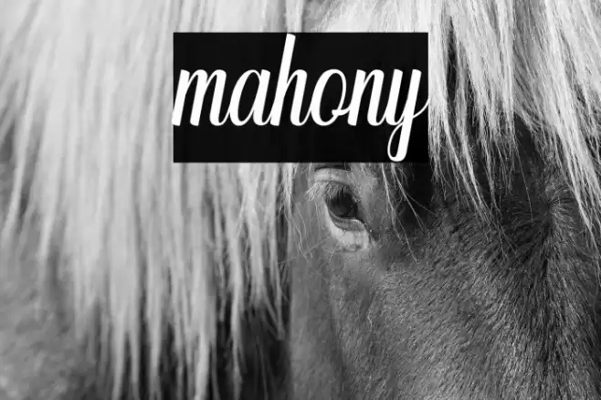mahony Font examples