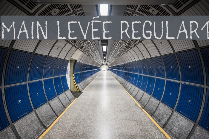 main levée regular1 Font examples