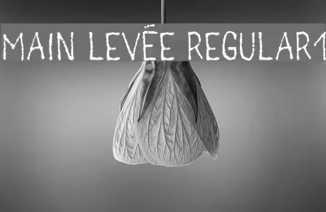 main levée regular1 Font examples