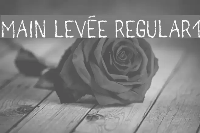 main levée regular1 Font examples