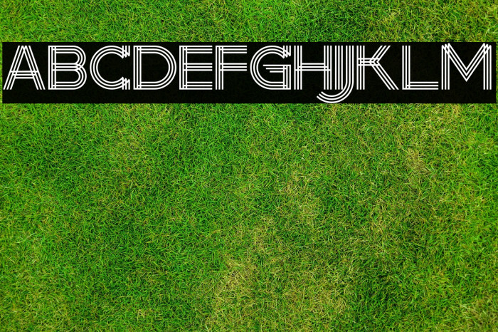 makayla Regular Example 1