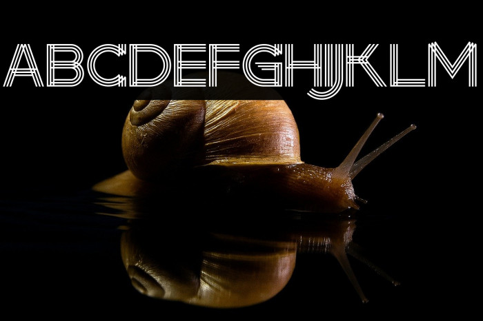 makayla Regular Example 3