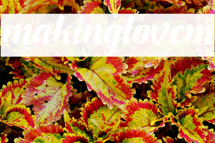 makinglovem Example 1