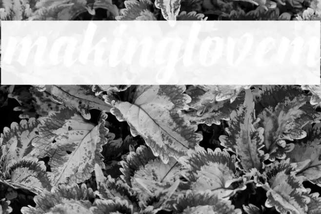 makinglovem Example 1