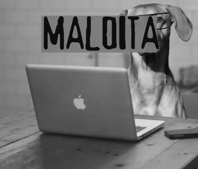 maldita Font examples