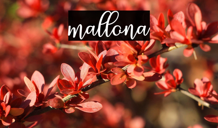 mallona Example 3