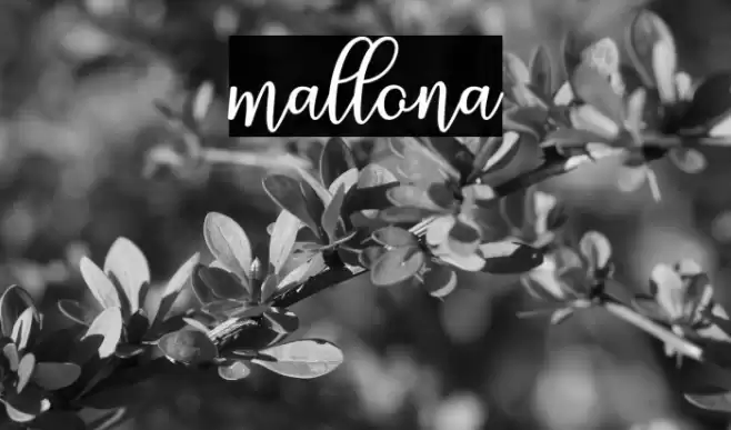 mallona Font examples