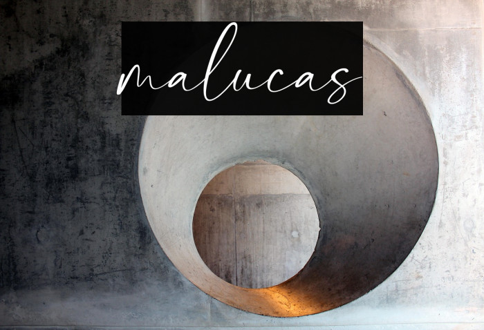 malucas Example 1