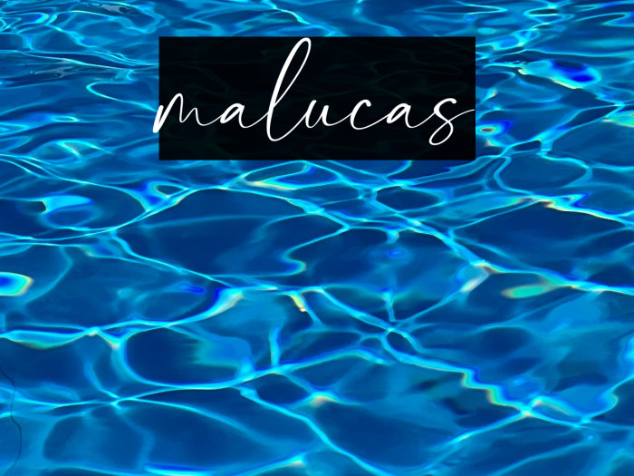 malucas Example 2
