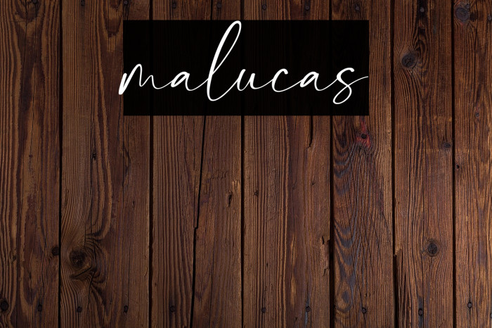 malucas Example 3