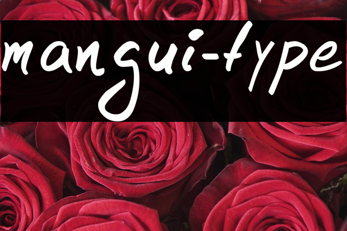 mangui-type Example 1