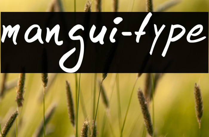 mangui-type Example 3