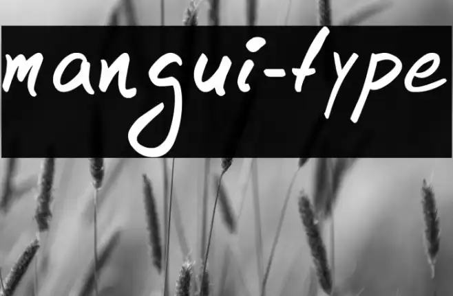 mangui-type Example 3