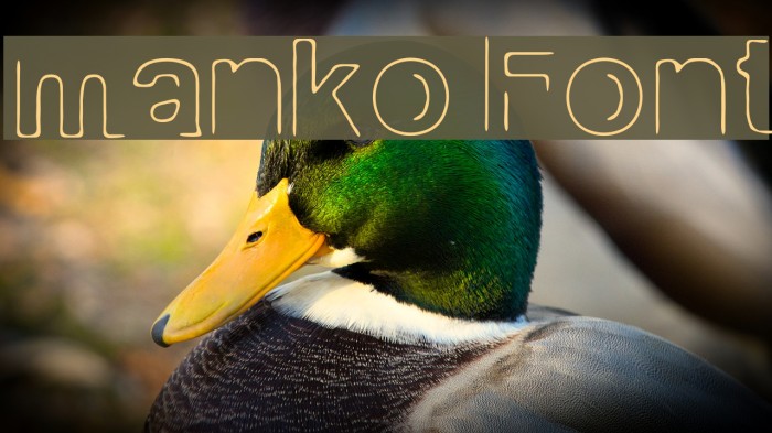 manko Font examples
