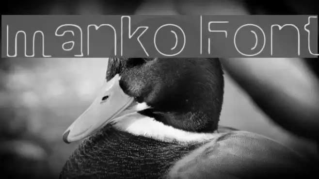 manko Example 1