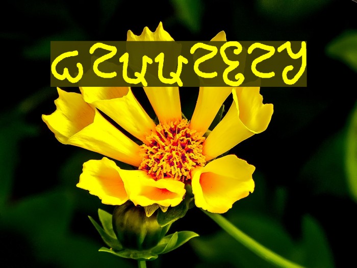 mannabay Font examples