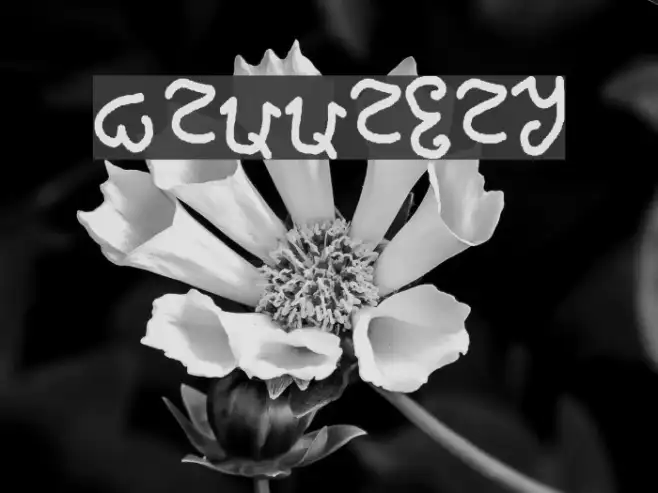 mannabay Example 1