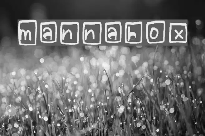 mannabox Example 1