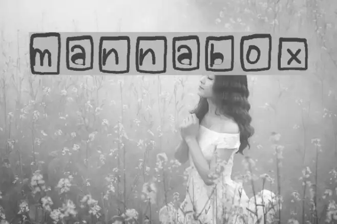 mannabox Example 2