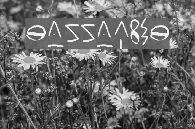 mannaform Font examples