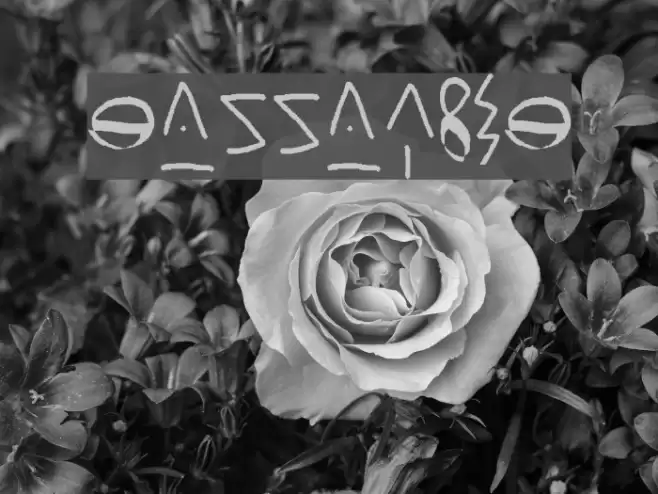 mannaform Font examples