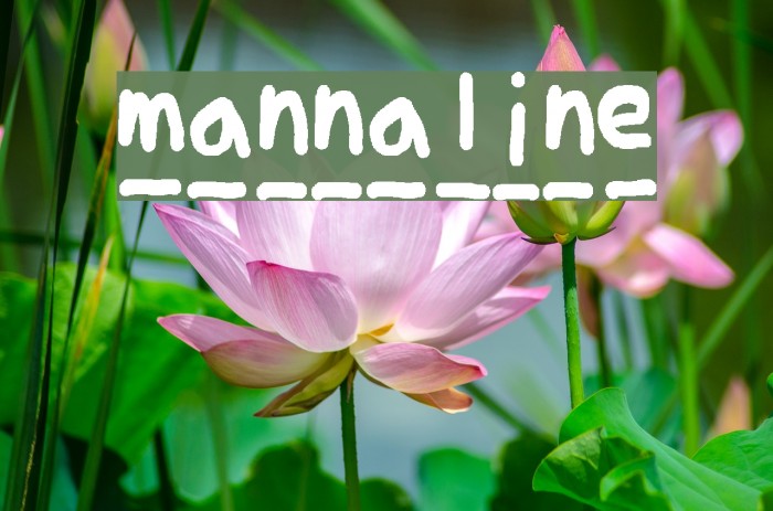 mannaline Font examples