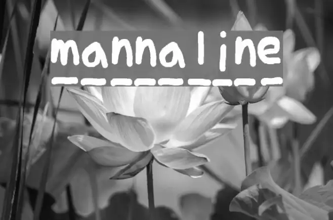 mannaline Example 3
