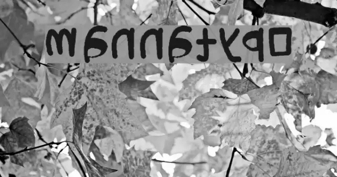 mannatypo Font examples