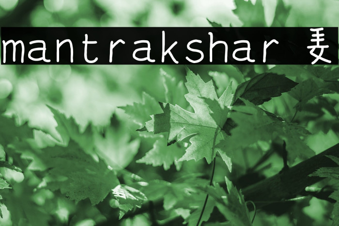 mantrakshar P Font examples