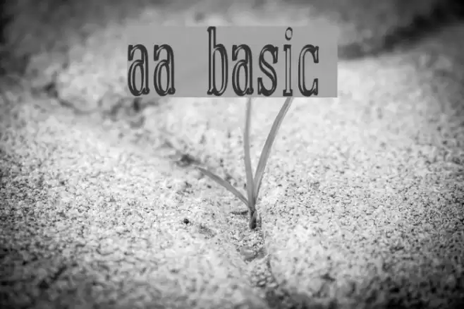 manual font basic demo Font examples