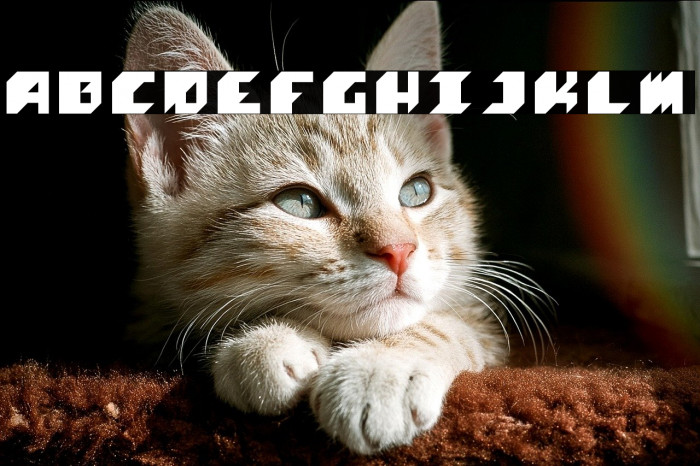 maque Regular Example 3