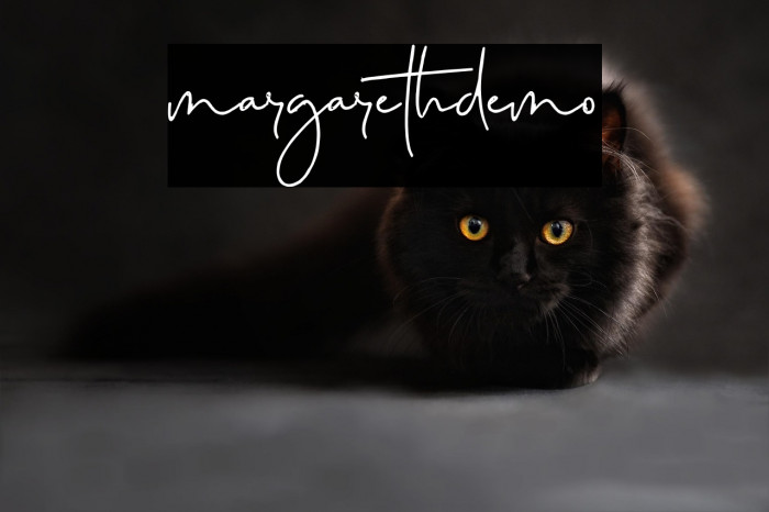 margarethdemo Example 1