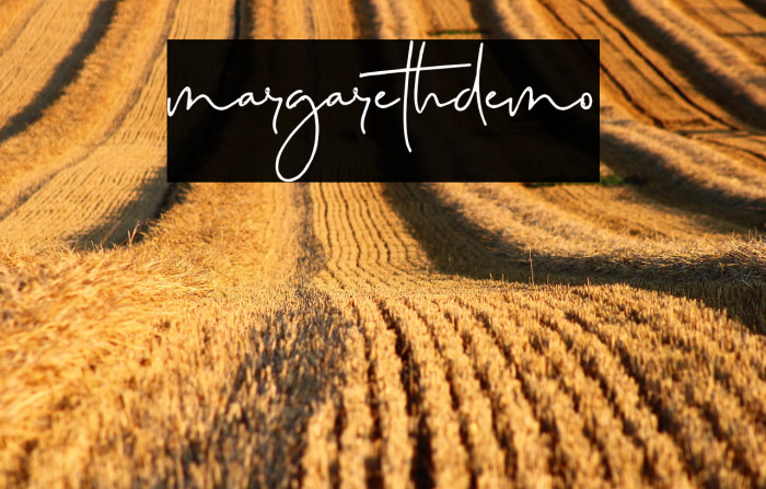 margarethdemo Example 2