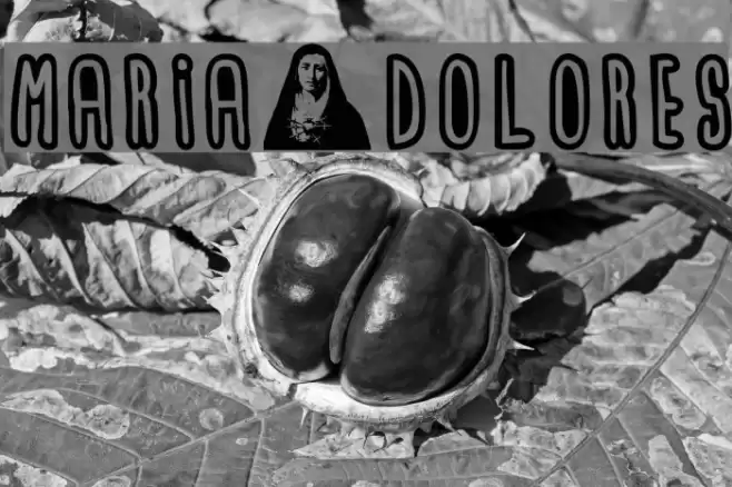 maria_dolores Font examples