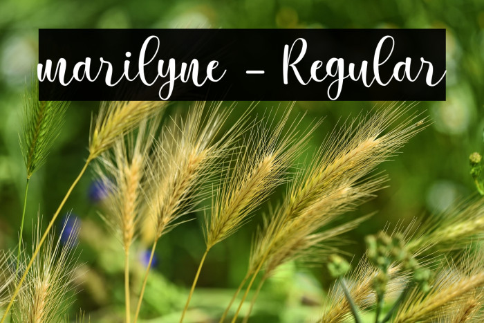 marilyne-Regular Example 1