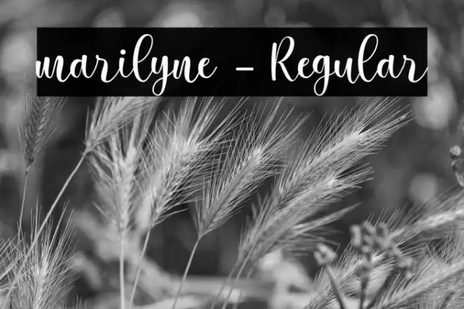 marilyne-Regular Schriftart examples