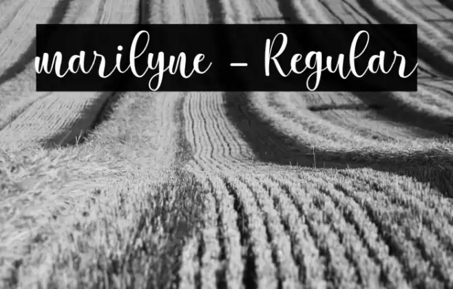 marilyne-Regular Schriftart examples