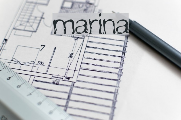 marina Font examples