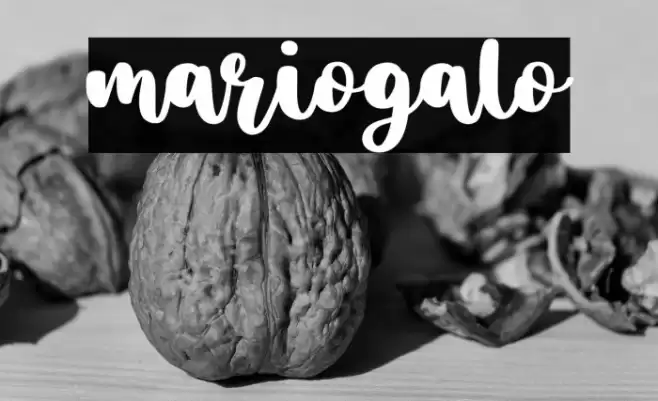 mariogalo Font examples